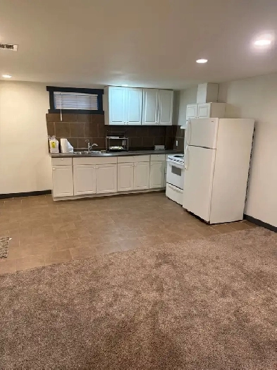 1 bedroom basement suite