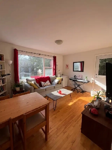 Grand 4 1/2 à louer secteur Montcalm