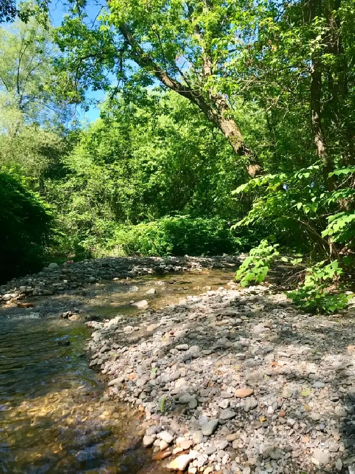 Terrain à vendre à Sutton – Bordé par la rivière– Village à pied