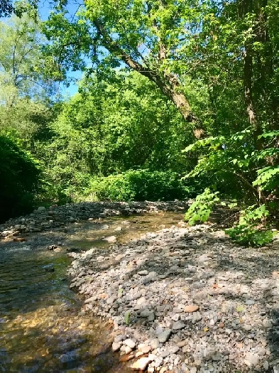 Terrain à vendre à Sutton – Bordé par la rivière– Village à pied