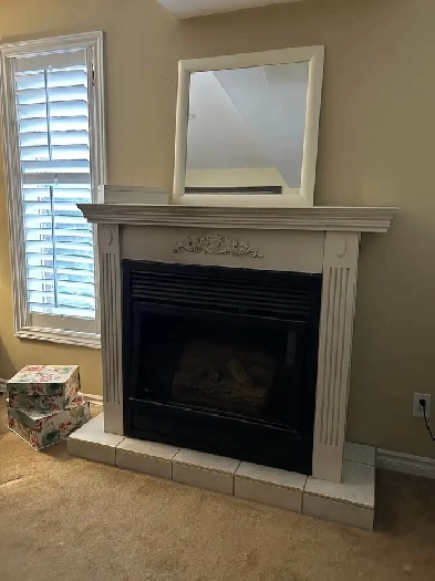 Spacious 2BR Walkout Basement Apartment Prime Location Newmarket