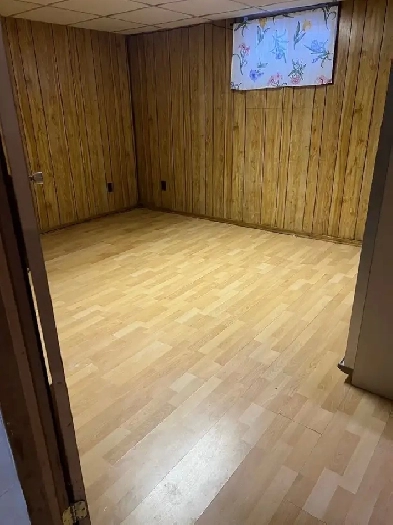 rent the basement