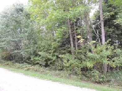 Lakefront Lot