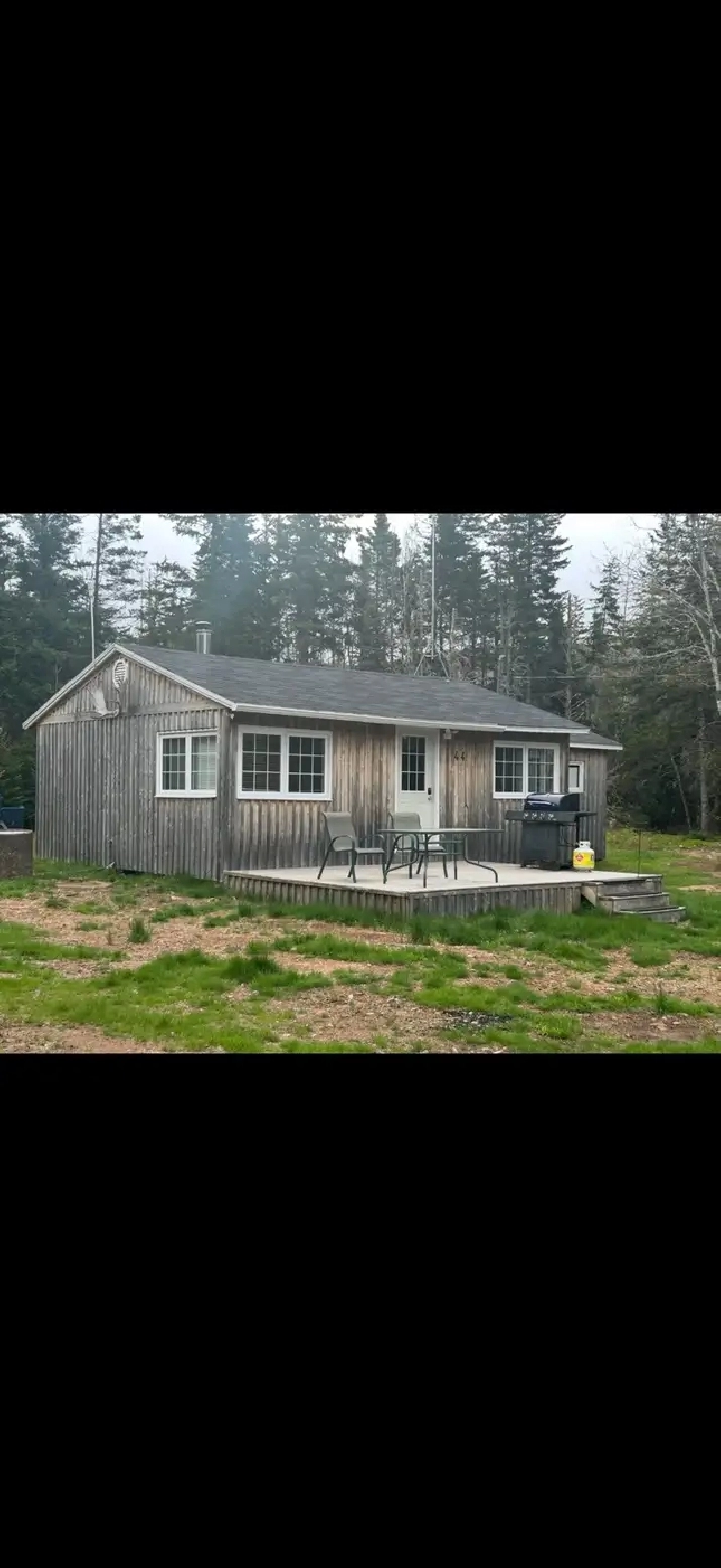 CABIN FOR RENT IN MARGAREE