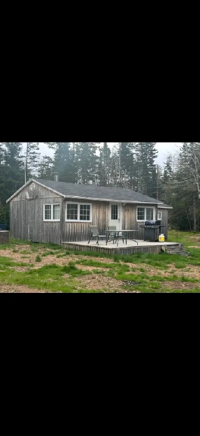 CABIN FOR RENT IN MARGAREE