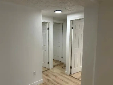 Nice 4 1/2 renovated, hot water included QUIET NEIGHBORHOOD