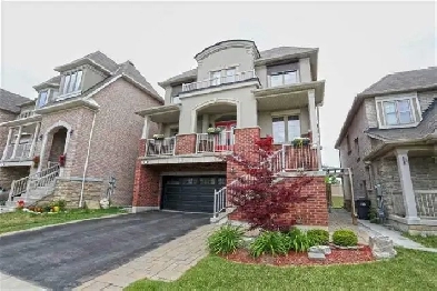 1 Bedroom   Den (Open Concept Design) Basement Apartment to Rent