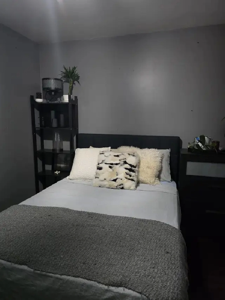 Room to Rent