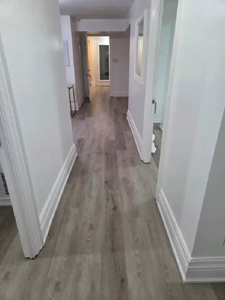 2 Bedroom Basement Apartment For Rent Near Square 1