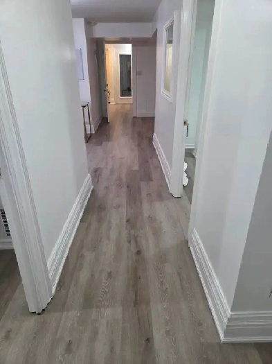 2 Bedroom Basement Apartment For Rent Near Square 1