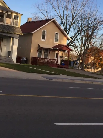 SIngle Room Rent in Down Town Kitchener