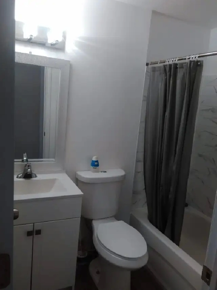 Room near Humber College North Campus