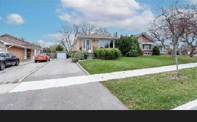 3 Br basement for rent in Etobicoke on Kipling & Rexdale