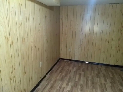 One large room for rent in a basement apartment
