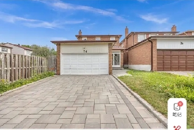 Beautiful Basement Apartment for Rent at Steeles/Middlefield