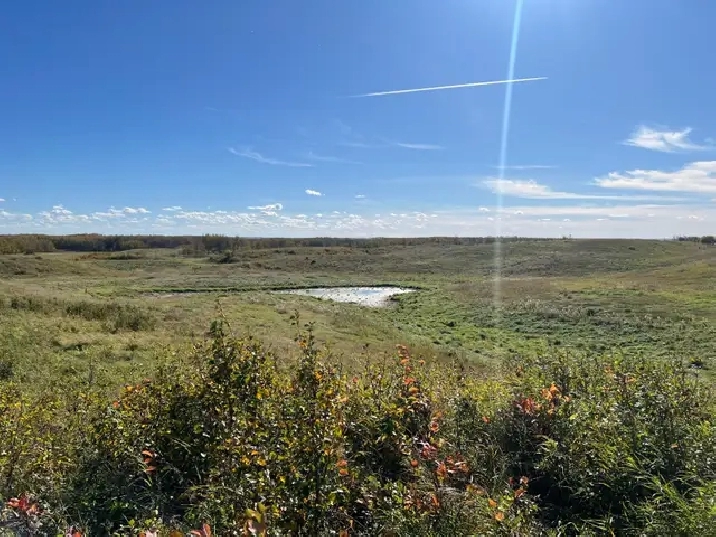 50 Acre Future
