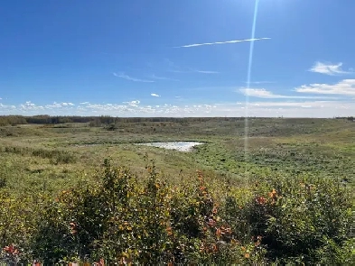 50 Acre Future