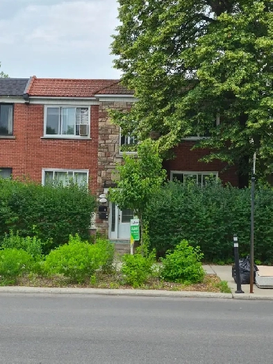 FURNISHED STUDIO IN THE BASEMENT NEAR METRO JOLICOEUR