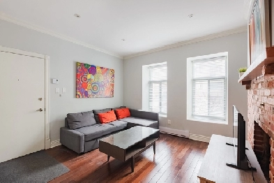 5 1/2 Fully furnished 2 floors apartment near Concordia universi