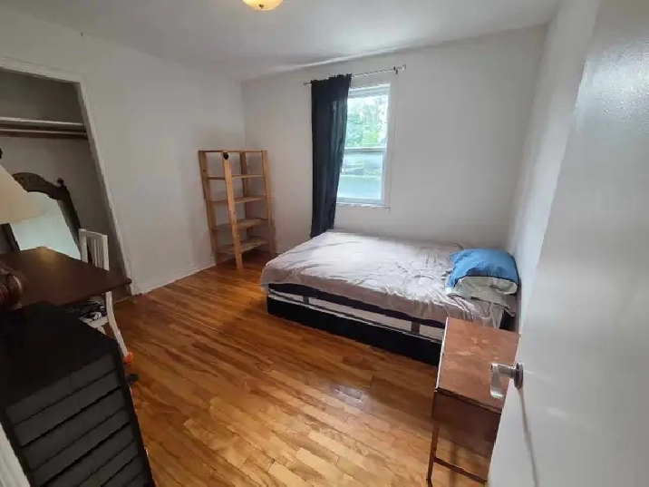 chambres à louer en colocation incroyable