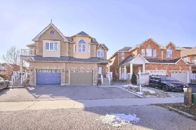 Beautiful 1 Bedroom basement in Richmond Hill,OakRidges for rent