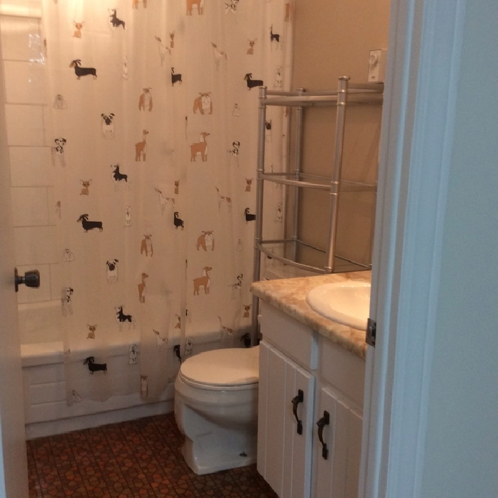 Photo 5