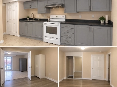 1-Bedroom Legal Walkout Basement for Rent | Brampton