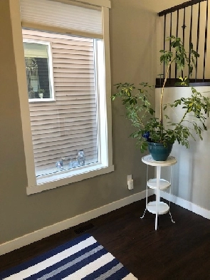 PRIVATE ROOM RENTAL CENTRAL AIRDRIE