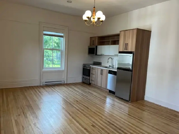Gorgeous 1 bdr available.  Downtown, all utilities included!