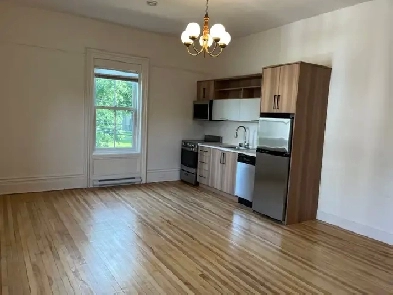 Gorgeous 1 bdr available.  Downtown, all utilities included!