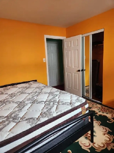 Private room For Rent @Malton  ( Girl)