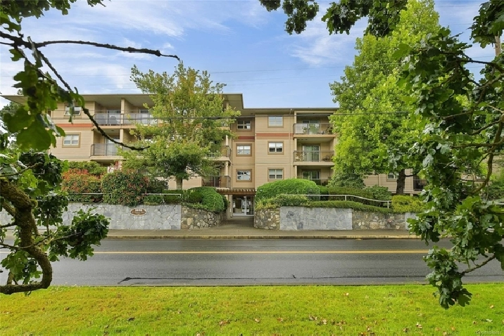 One Bedroom condo for Rent in Mt. Tolmie/Shelbourne area