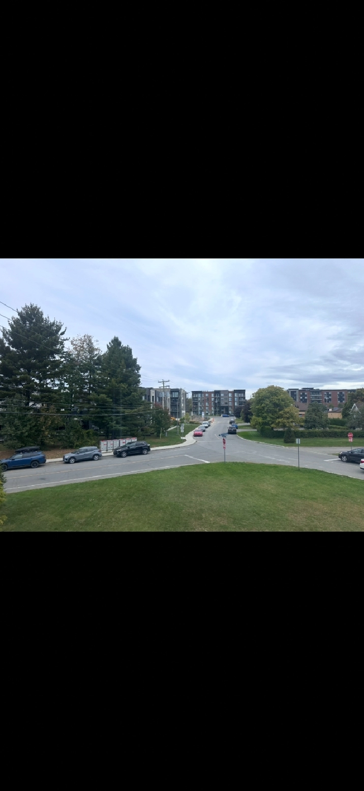 Appartement de 5 1/2 rénové et peint à louer