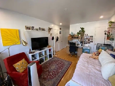 TOUT INCLUS - Tres joli et spacieux 3 et 1/2 - Nouveau Rosemont