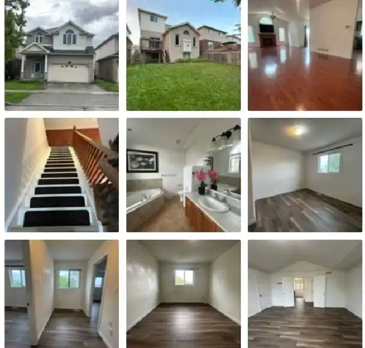 House for rent