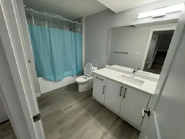 $1300 - One Semi-Furnished Newly Basement Available