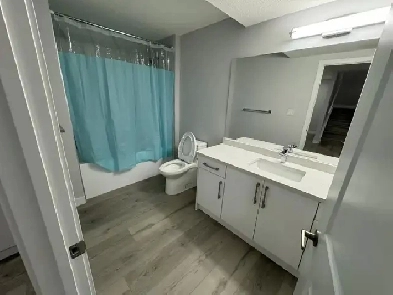 $1300 - One Semi-Furnished Newly Basement Available