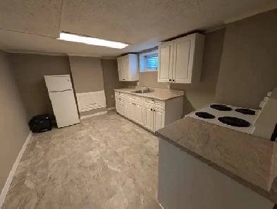 1 Bedroom Basement Suite