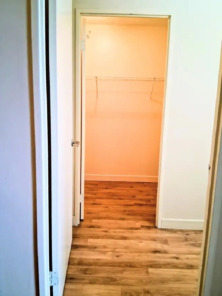 1 PRIVATE MASTER BEDROOM WITH WALK-IN-CLOSET FOR FEMALE ONLY