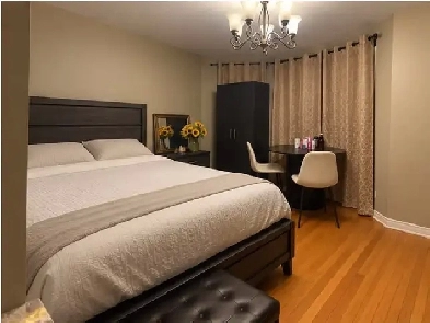 Furnished Room Female INTL students Main/Danforth