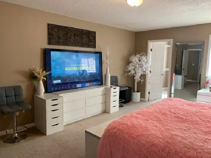 Large Furnished room with PRIVATE washroom with free parking