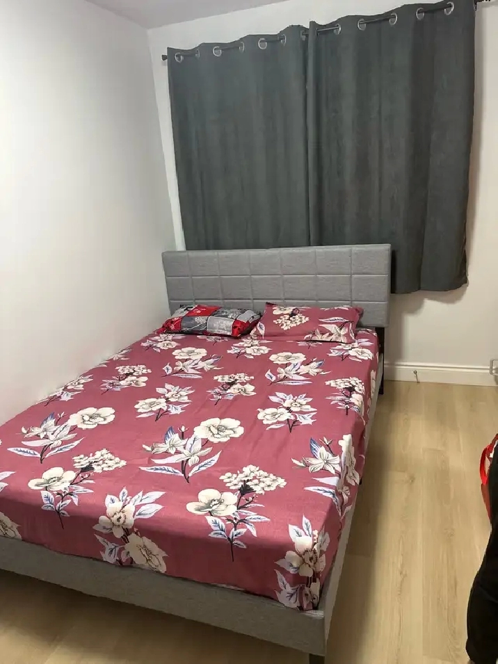 Room for rent