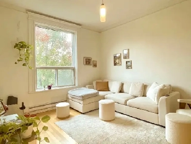 Mile End, spacieux 3e étage rénové, au pied du Mont-Royal!