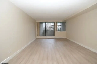 Two Bedroom Apartment Next to Seawall