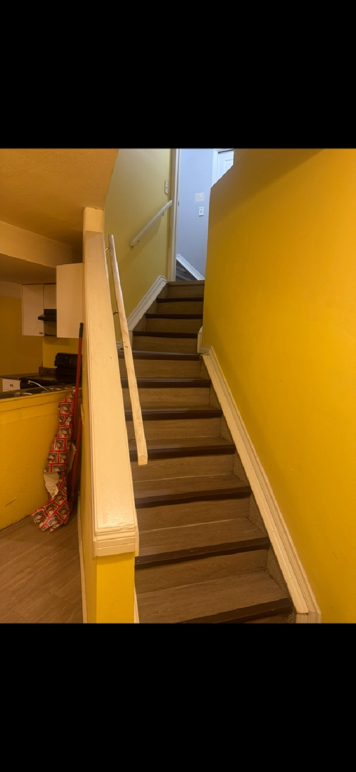 Basement fir rent