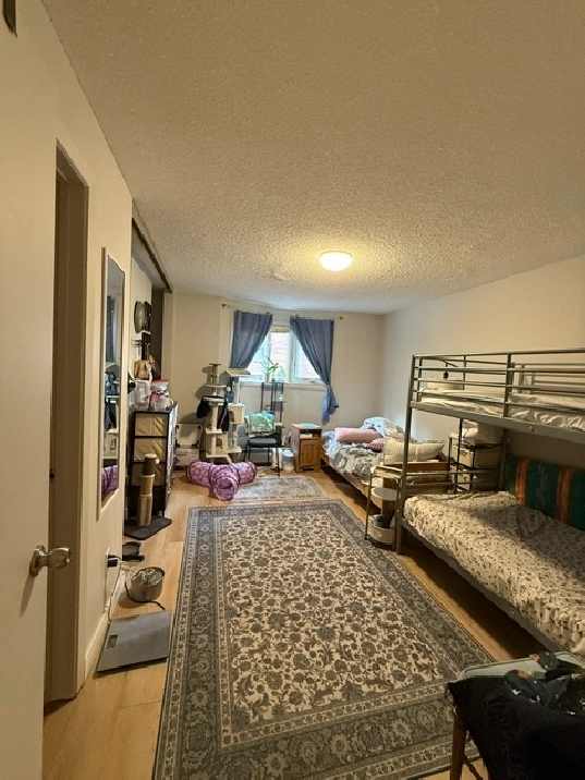 Private Room   Private Toilet in a 2 bedroom aprt — $925/month
