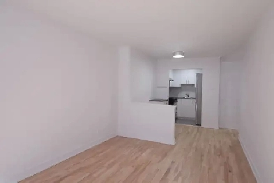 renovated 3.5 for rent, Dec 1, Snowdon, HEC, UdeM - ID 1507