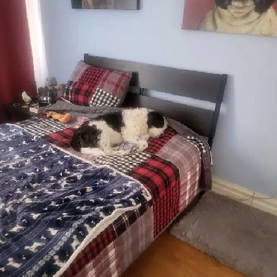 Homme cherche chambre