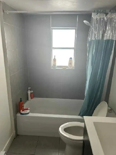 Chambre à louer
