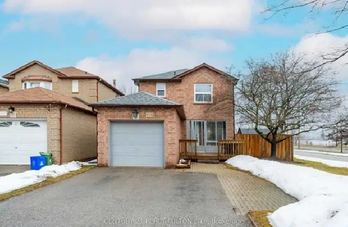 Newly Renovated Basement Apartment for Rent